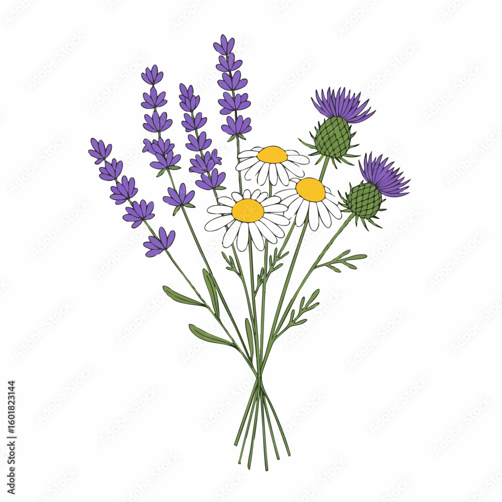 Obraz premium Delicate Bouquet of Lavender, Daisies, and Thistle Blooms