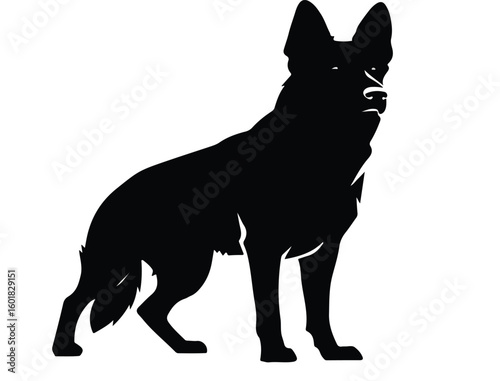 Black silhouette of a german shepherd standing alert on a white background in a simple illustration