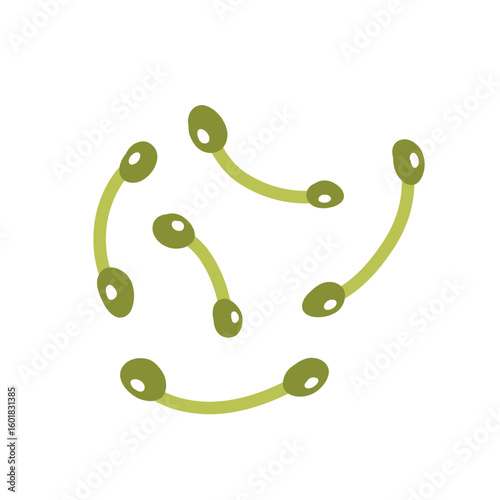 Corynebacterium diphtheriae bacteria