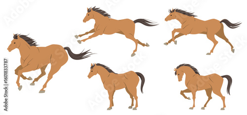 いろいろなポーズの馬のイラスト、午年の年賀状素材