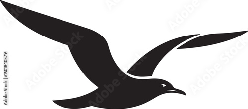 A soaring silhouette of a seagull with its wings gracefully outstretched against the sky. Transparent png vector