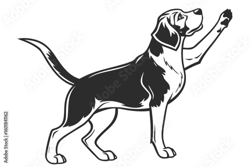 vector illustration of a dog