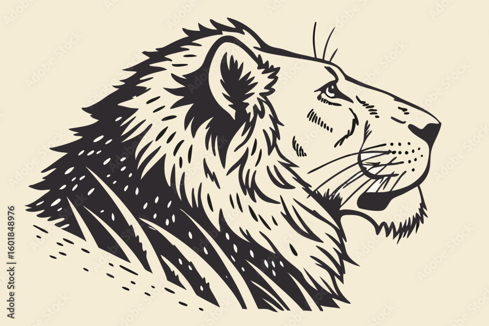 Obraz premium lion vector illustration