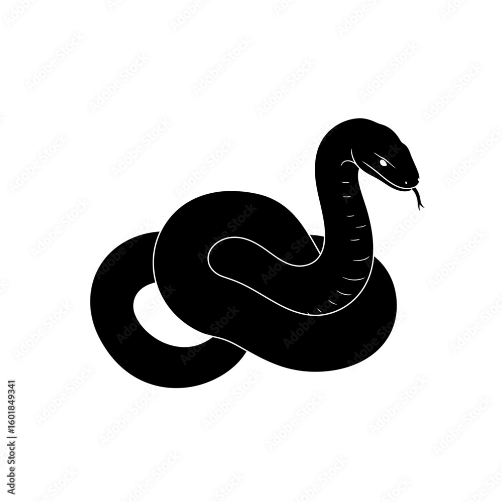 Naklejka premium A black snake coiled with its head raised and tongue out, isolated on a white background.