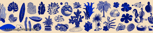 
A large set of blue vector graphic elements, such as tropical plants and fruits, marine life, beach objects like sunglasses or surfboards in shades of navy blue on a cream background.