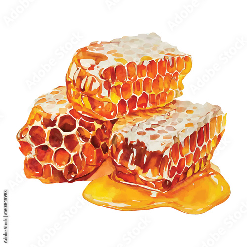Watercolor honeycomb pieces with dripping golden honey on white bee product natural food
