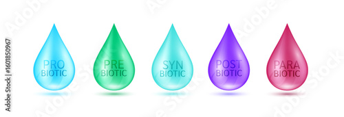 Collection water drop Prebiotic Probiotic Postbiotic Parabiotic Synbiotic on white background. Good bacterial flora for intestine and stomach. For designing dietary supplements healthy. Vector.