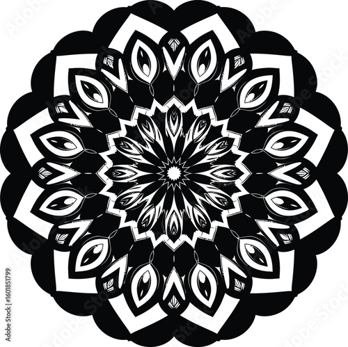 Adobe Illustrator Artwork