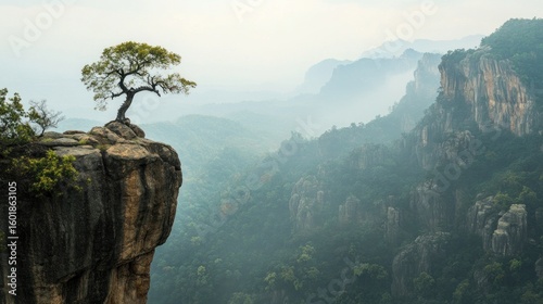 Solitary tree perched on a dramatic cliff overlooking a misty mountain valley.