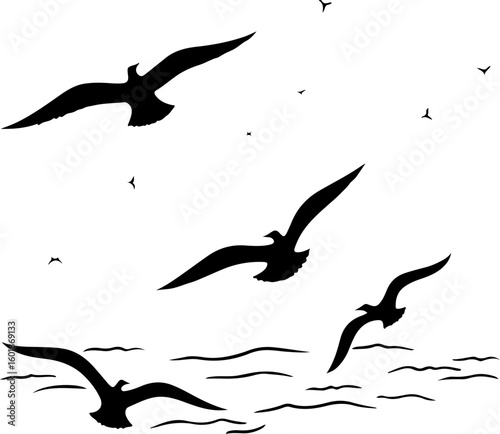silhouettes of birds, bird, silhouette, vector, animal, flying, illustration, nature, birds, black, fly, wing, sea, icon, wings, fish, dove, wild, wildlife, pigeon, drawing, seagull, sky, animals, fre