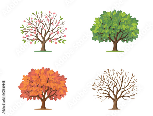 Vibrant trees showcase seasonal changes from spring blossoms to bare winter branches