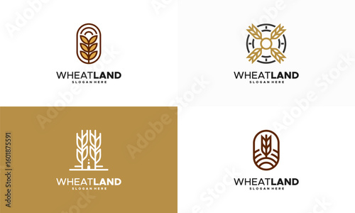 Set of Grain wheat field logo concept, Agriculture wheat Logo Template vector icon