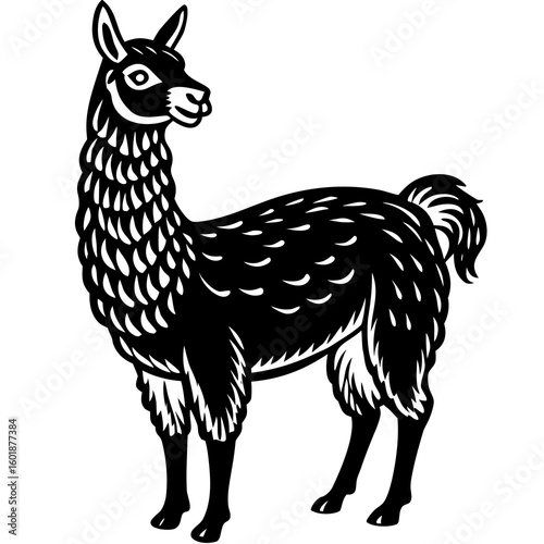 vector image of a chicken"Cute Llama Standing on Mountain Slope in Natural Habitat"
