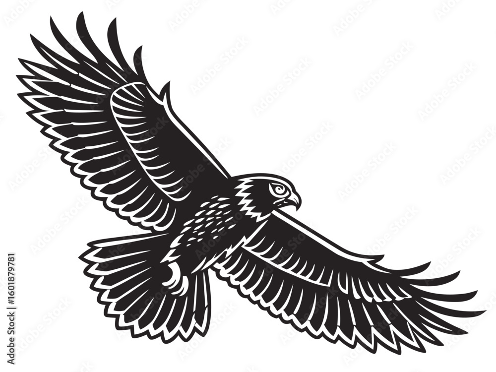 Fototapeta premium eagle vector illustration