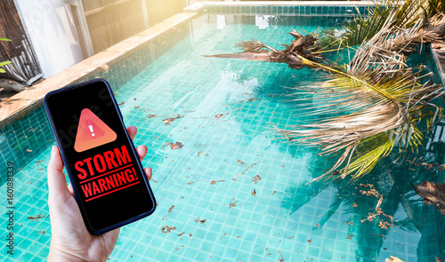 Fotografia Storm warning on smartphone over coconut tree fallen into swimming pool, storm s
