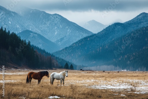 Horses feed in a snowy meadow among mountains in early spring