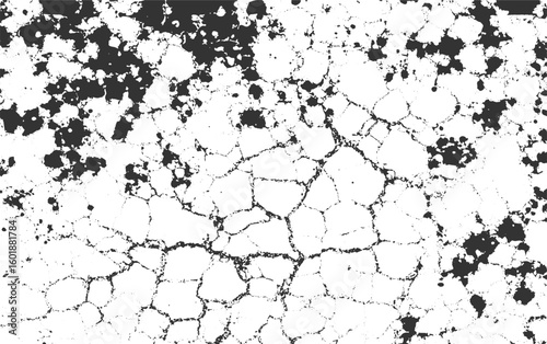 Cracked earth texture with dark soil patches and white dry ground vector