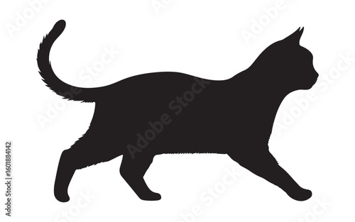 black cat silhouette