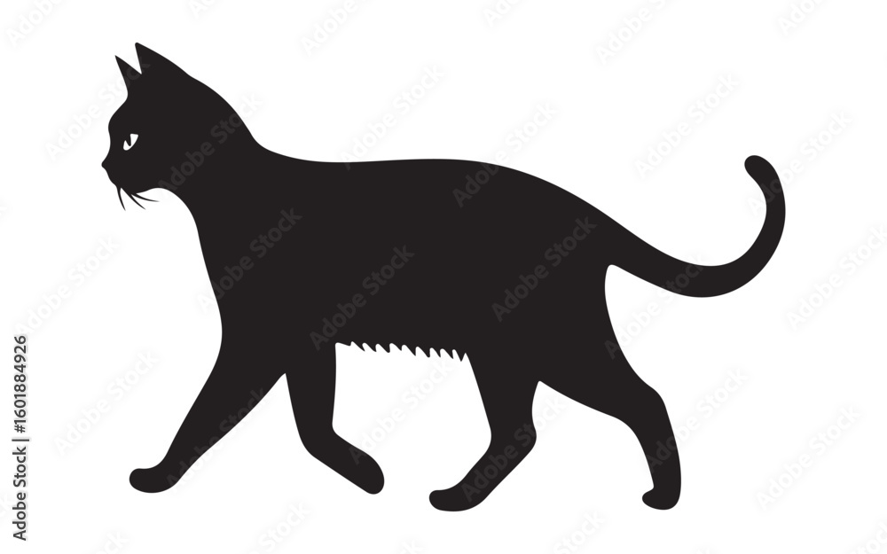 Obraz premium black cat silhouette