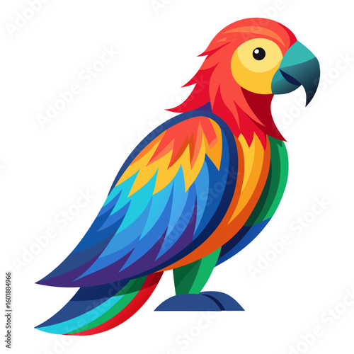 parrot on white background