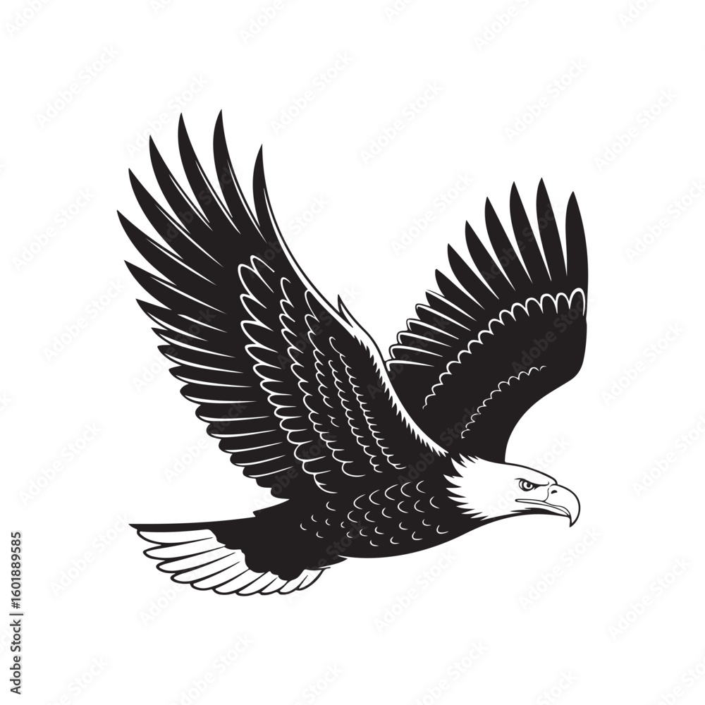 Obraz premium Black silhouette of a flying eagle bird. Animal wildlife vector art