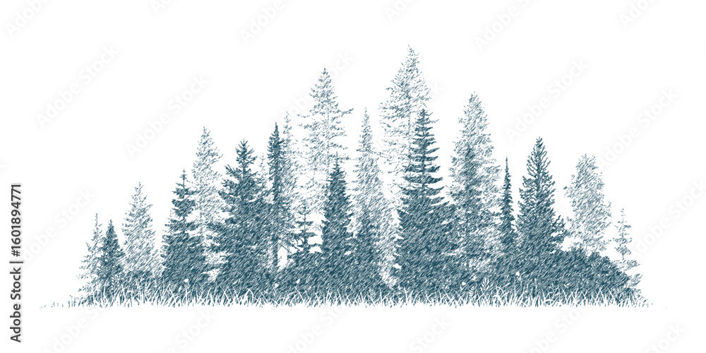 Fototapeta premium The forest in the fog, imitation of a pencil drawing, vector sketch, isolated on a white background
