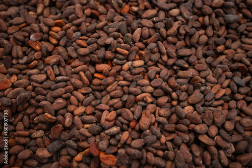 Fotografie Raw cocoa beans from cacao fruit which are then turned into chocolate