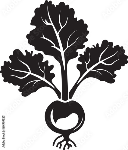 Kohlrabi icon clean simple silhouette