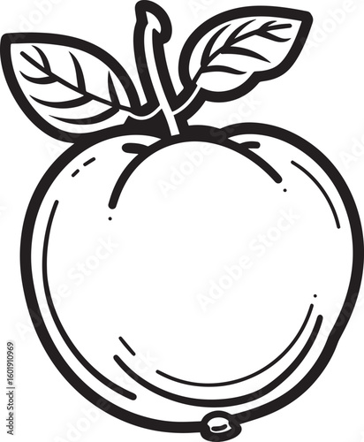 Quince fruit icon clean simple outline