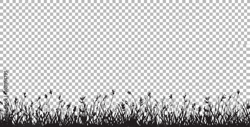 Vector  silhouette of grass and weeds at the bottom of the frame against a transparent background design element