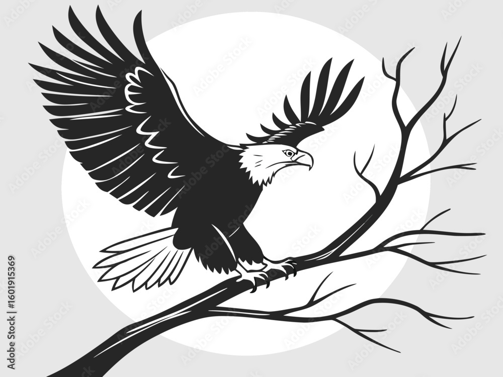 Fototapeta premium eagle on a branch