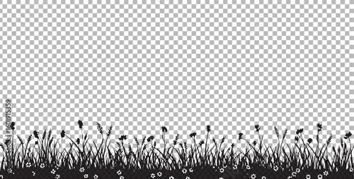 Vector  silhouette of grass and flowers in a field against a transparent background creating a serene landscape view