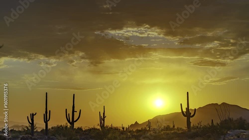 Spectacular HDR Arizona sunset!  Colorful clouds and cactus.