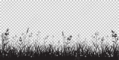 Vector  silhouette of grass and wildflowers against a transparent background creating a natural scenery look