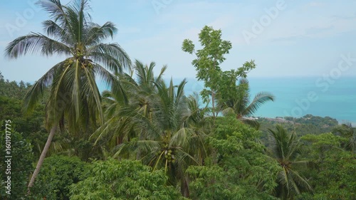 View Over Dense Tropical Trees With Coconut Palms Toward Blue Ocean and Distant Coastline From Elevated Angle at Overlap Stone Samui, Tropical Serenity Concept