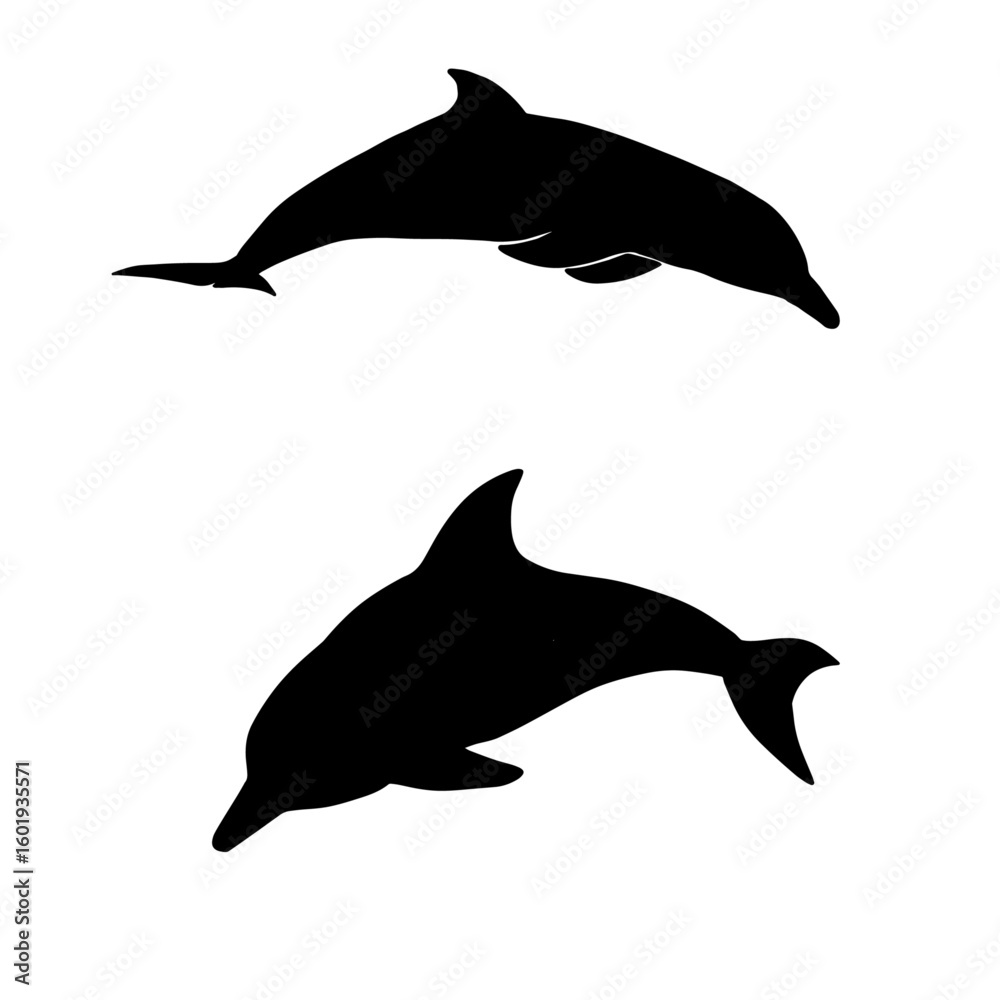 Fototapeta premium dolphin silhouette isolated on white background