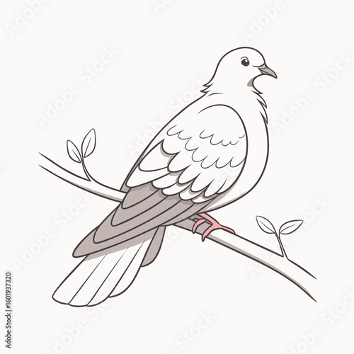 dove of peace