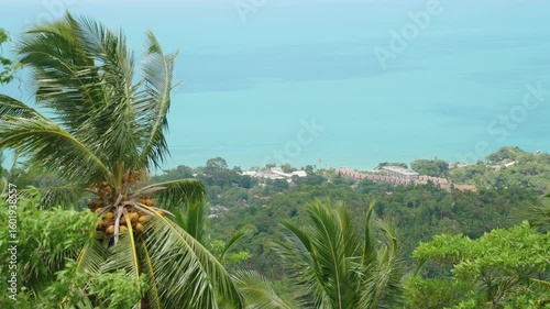 Wide View of Coconut Palms and Coastal Settlement Overlooking Turquoise Sea Under Bright Sky From Elevated Angle, Island Paradise Concept
