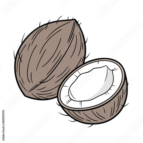 coconut