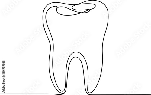 Single line drawing of a human tooth isolated on white background