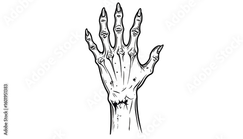 A detailed black and white illustration of a skeletal hand, reaching upwards.