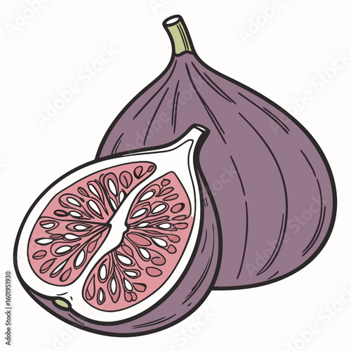 Stylized Figs One Whole One Halved Revealing Pink Pulp and Seeds
