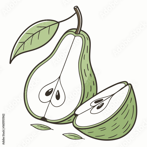 Stylized Green Pear Illustration Whole Halved and Leafy Accent
