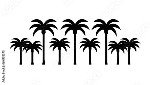 Palm trees on white background. Logo and print design templates, summer palms, tropical surfing concept, vacation and travel