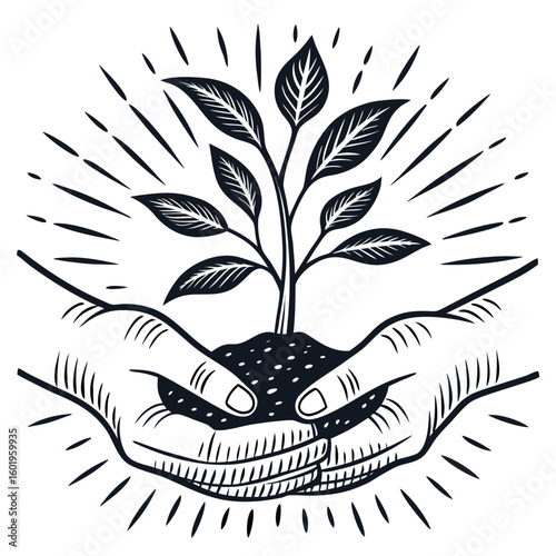 Vintage style illustration of hands holding a young plant surrounded by light rays with transparent background