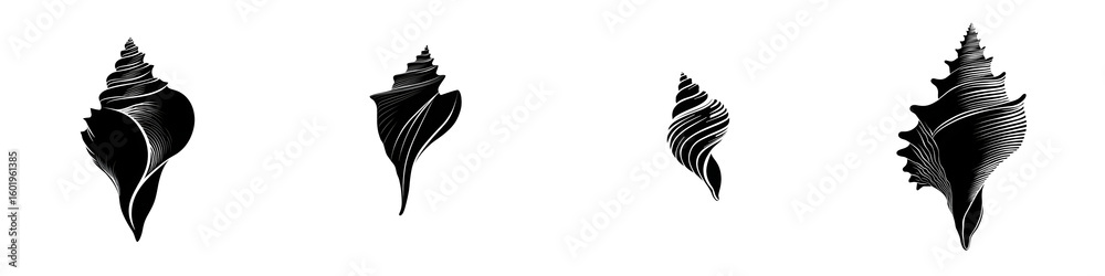 Obraz premium Seashells Black and White Collection, Ocean Shells, Isolated