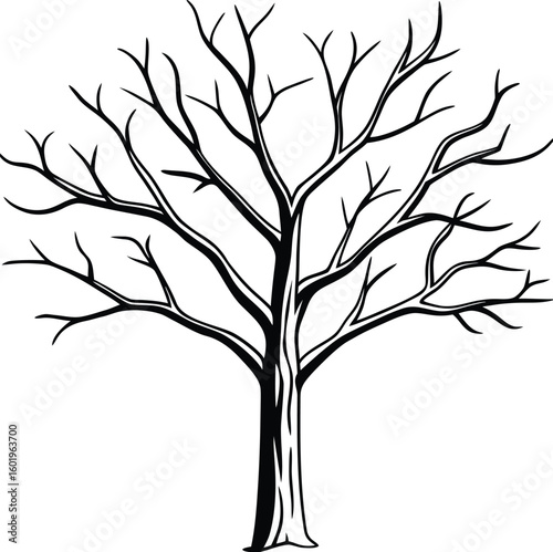 Eco friendly Halloween decoration Bare tree branches silhouette against white background hand drawn style