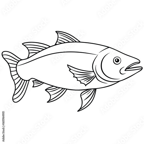 vector illustration of a salmon fish