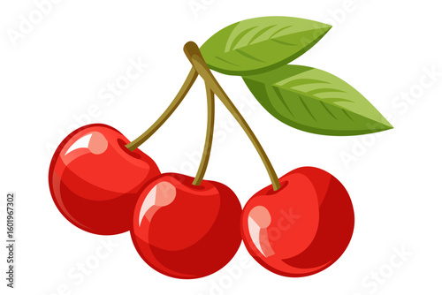 Delicious red cherries vector illustration for summer fruit designs and healthy eating concepts