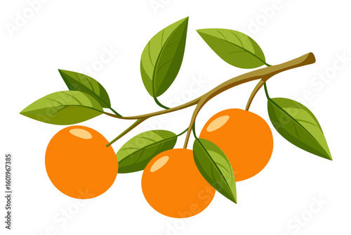 Illustration of orange fruit tree branch with green leaves for food and nature designs vector